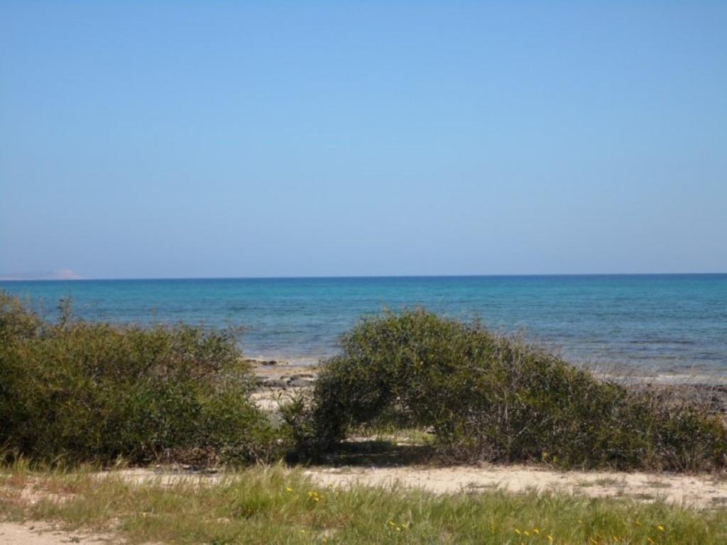 Villa Alexandra Ayia Napa Ngoại thất bức ảnh